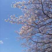 ヒメ日記 2025/04/06 00:06 投稿 一咲若葉(いちさきわかば) 五十路マダムエクスプレス厚木店(カサブランカグループ)