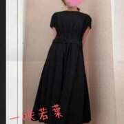 ヒメ日記 2025/06/06 10:16 投稿 一咲若葉(いちさきわかば) 五十路マダムエクスプレス厚木店(カサブランカグループ)