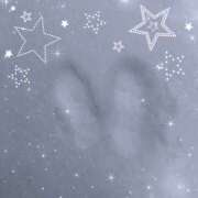 ヒメ日記 2026/02/08 11:28 投稿 一咲若葉(いちさきわかば) 五十路マダムエクスプレス厚木店(カサブランカグループ)