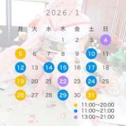 ヒメ日記 2025/12/28 09:00 投稿 Gカップ長身美女みれい club Ego