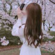 ヒメ日記 2026/04/13 08:21 投稿 Gカップ長身美女みれい club Ego