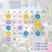 ヒメ日記 2026/05/20 08:17 投稿 Gカップ長身美女みれい club Ego
