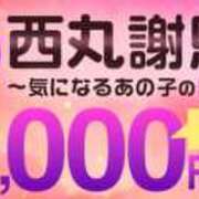 ヒメ日記 2024/11/20 17:14 投稿 坂崎【さかざき】 丸妻 西船橋店