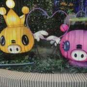 ヒメ日記 2025/02/12 18:39 投稿 坂崎【さかざき】 丸妻 西船橋店