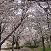 ヒメ日記 2025/03/21 15:03 投稿 坂崎【さかざき】 丸妻 西船橋店