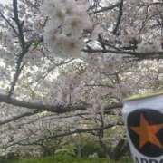 ヒメ日記 2025/04/09 07:54 投稿 坂崎【さかざき】 丸妻 西船橋店