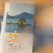 ヒメ日記 2025/04/17 08:19 投稿 坂崎【さかざき】 丸妻 西船橋店