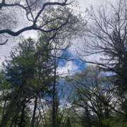 ヒメ日記 2025/06/25 08:40 投稿 坂崎【さかざき】 丸妻 西船橋店