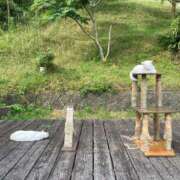 ヒメ日記 2025/07/03 08:20 投稿 坂崎【さかざき】 丸妻 西船橋店