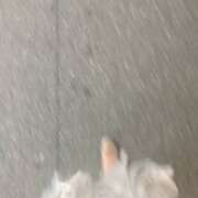 ヒメ日記 2025/07/26 04:47 投稿 坂崎【さかざき】 丸妻 西船橋店