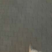 ヒメ日記 2025/09/26 10:56 投稿 坂崎【さかざき】 丸妻 西船橋店