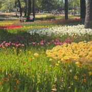 ヒメ日記 2025/05/06 00:30 投稿 にこ・SP 西川口ティアラ