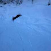 にこ・SP 🏂🆖 西川口ティアラ