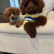 ヒメ日記 2024/12/21 22:42 投稿 ジェシカ Club 妻