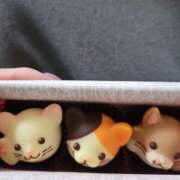 ヒメ日記 2025/03/17 08:45 投稿 ジェシカ Club 妻