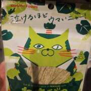 ヒメ日記 2025/03/28 08:39 投稿 ジェシカ Club 妻