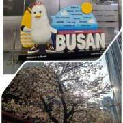 ヒメ日記 2025/04/05 15:42 投稿 ジェシカ Club 妻