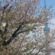 ヒメ日記 2025/04/12 13:03 投稿 ジェシカ Club 妻