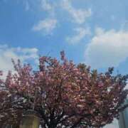 ヒメ日記 2025/04/14 08:45 投稿 ジェシカ Club 妻