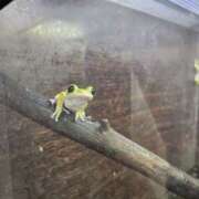 ヒメ日記 2025/06/11 08:37 投稿 ジェシカ Club 妻