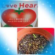 ヒメ日記 2025/07/25 10:03 投稿 ジェシカ Club 妻