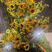 ヒメ日記 2025/08/04 22:41 投稿 ジェシカ Club 妻