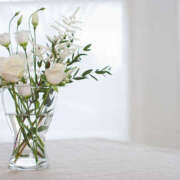 ヒメ日記 2025/08/06 22:05 投稿 ジェシカ Club 妻