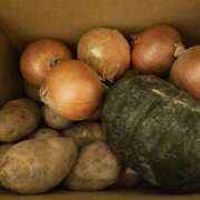 ヒメ日記 2025/11/15 22:57 投稿 ジェシカ Club 妻