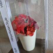 ヒメ日記 2025/11/26 23:34 投稿 ジェシカ Club 妻