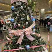 ヒメ日記 2025/12/13 15:58 投稿 ジェシカ Club 妻