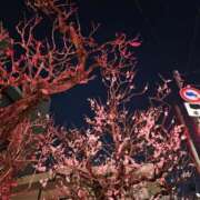 ヒメ日記 2026/02/22 21:52 投稿 ジェシカ Club 妻