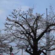 ヒメ日記 2026/03/29 18:10 投稿 ジェシカ Club 妻