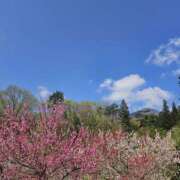 ヒメ日記 2026/04/26 17:16 投稿 ジェシカ Club 妻