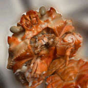 ヒメ日記 2025/11/10 10:54 投稿 かれん 梅田ゴールデン倶楽部