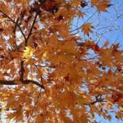 ヒメ日記 2025/12/03 10:26 投稿 かれん 梅田ゴールデン倶楽部