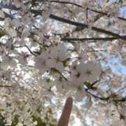 ヒメ日記 2026/04/03 22:32 投稿 かれん 梅田ゴールデン倶楽部