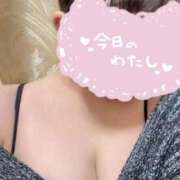 ヒメ日記 2025/11/15 22:11 投稿 ゆき 愛媛松山ちゃんこ