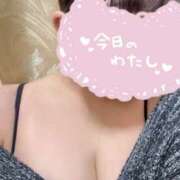 ヒメ日記 2025/11/15 21:54 投稿 ゆき 愛媛松山ちゃんこ