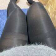 ヒメ日記 2025/12/25 03:59 投稿 ゆき 愛媛松山ちゃんこ