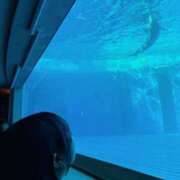 ヒメ日記 2026/03/09 16:50 投稿 ゆき 愛媛松山ちゃんこ