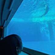 ヒメ日記 2026/03/09 16:59 投稿 ゆき 愛媛松山ちゃんこ