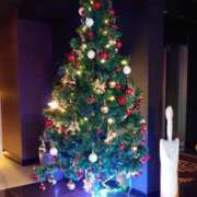 ヒメ日記 2024/12/23 02:30 投稿 しおん 所沢デリヘル桜