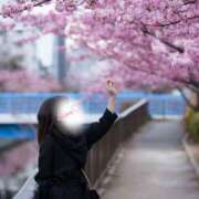 ヒメ日記 2025/03/02 12:30 投稿 しおん 所沢デリヘル桜