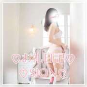 ヒメ日記 2025/03/24 16:00 投稿 しおん 所沢デリヘル桜