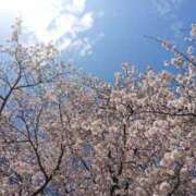 ヒメ日記 2025/03/29 09:00 投稿 しおん 所沢デリヘル桜