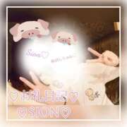 ヒメ日記 2025/04/16 16:00 投稿 しおん 所沢デリヘル桜