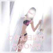 ヒメ日記 2025/06/11 10:00 投稿 しおん 所沢デリヘル桜