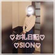 ヒメ日記 2025/07/03 12:00 投稿 しおん 所沢デリヘル桜