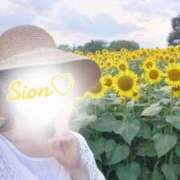 ヒメ日記 2025/08/05 11:00 投稿 しおん 所沢デリヘル桜