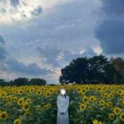 ヒメ日記 2025/08/24 09:00 投稿 しおん 所沢デリヘル桜